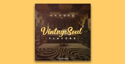 Vintage Soul Flavors